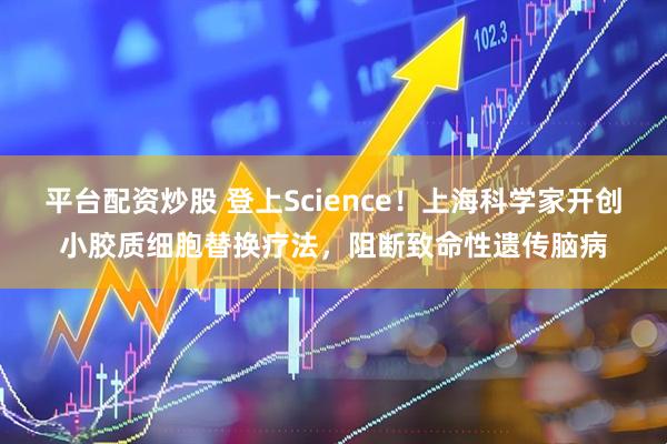 平台配资炒股 登上Science！上海科学家开创小胶质细胞替换疗法，阻断致命性遗传脑病