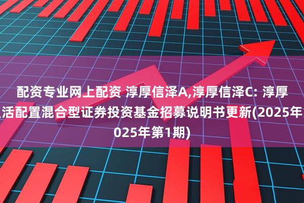 配资专业网上配资 淳厚信泽A,淳厚信泽C: 淳厚信泽灵活配置混合型证券投资基金招募说明书更新(2025年第1期)