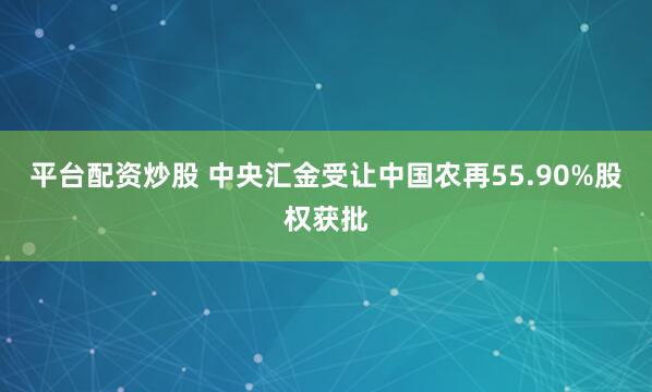 平台配资炒股 中央汇金受让中国农再55.90%股权获批