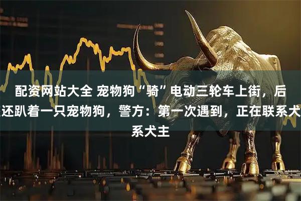配资网站大全 宠物狗“骑”电动三轮车上街，后座还趴着一只宠物狗，警方：第一次遇到，正在联系犬主